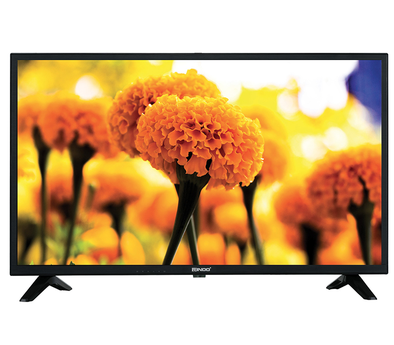 Tivi LED full HD 50inch RA-50TDM2100FLED